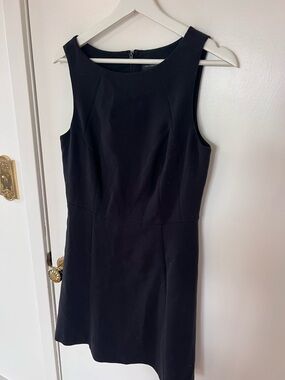 The Limited Black Sleeveless Mini Dress